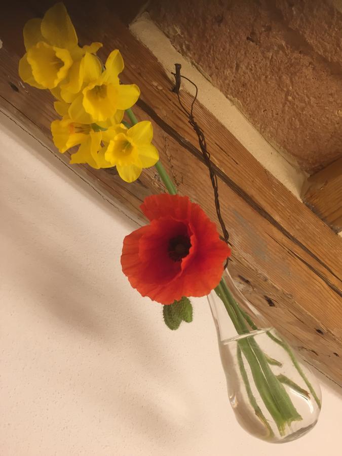 Bed and Breakfast Tabano Ristorante-Casolare Jesi Exterior foto